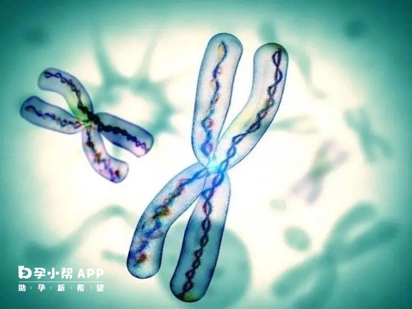 不孕检查医院  -＞  输卵管造影  -＞  不孕检查医院输卵管造影项目