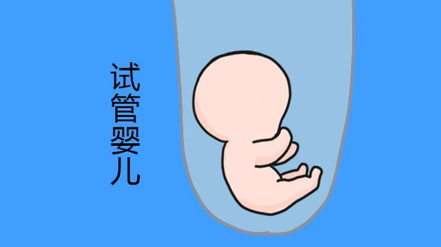 不孕病历辅助生育治疗方案探讨